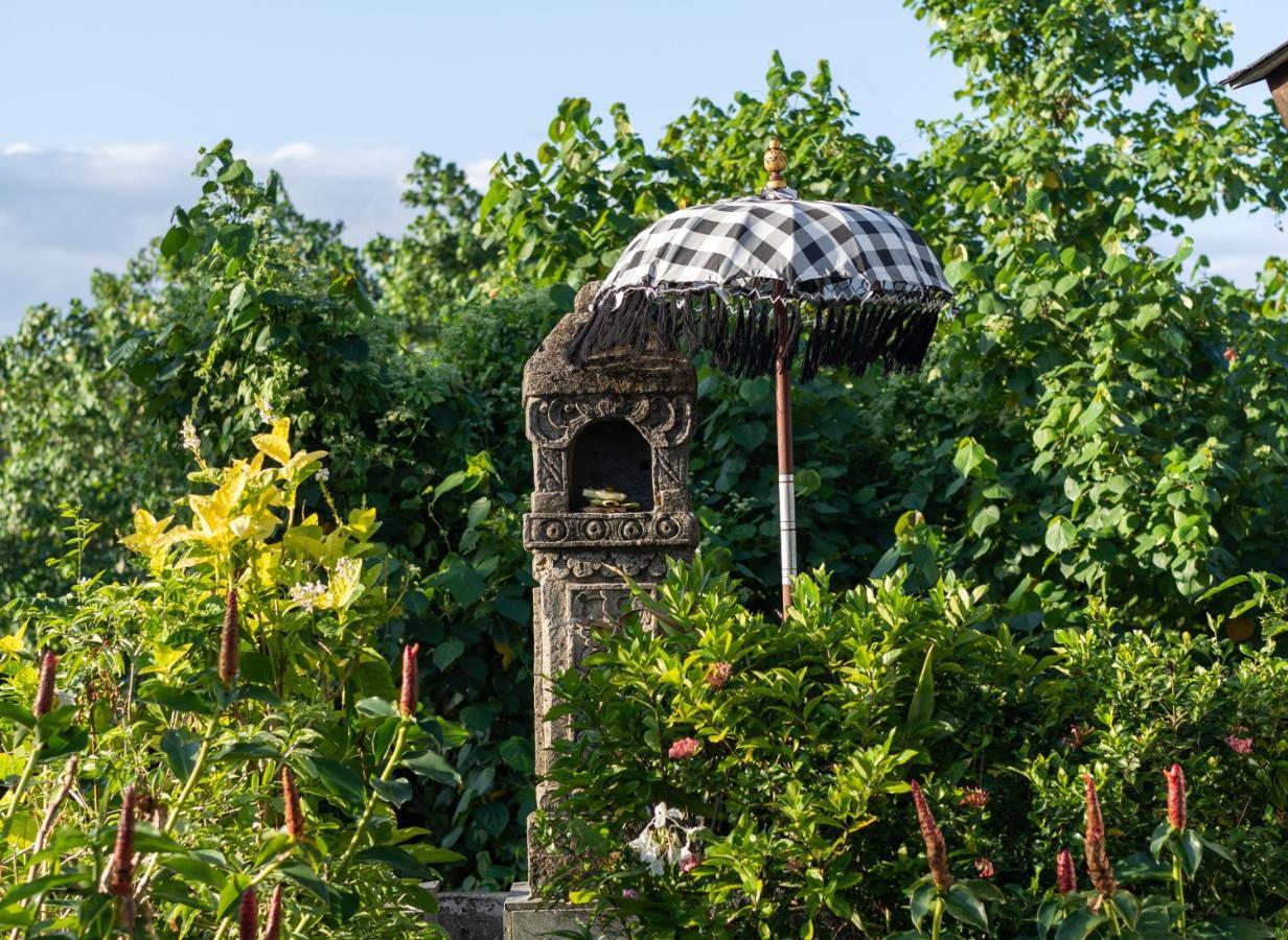 Masmara Resort Canggu Exteriér fotografie